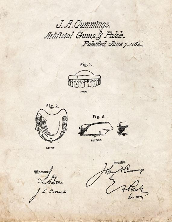 Artificial Gums And Palate Patent Print
