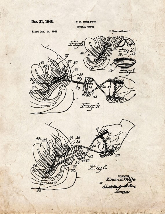 Vaginal Gauge Patent Print
