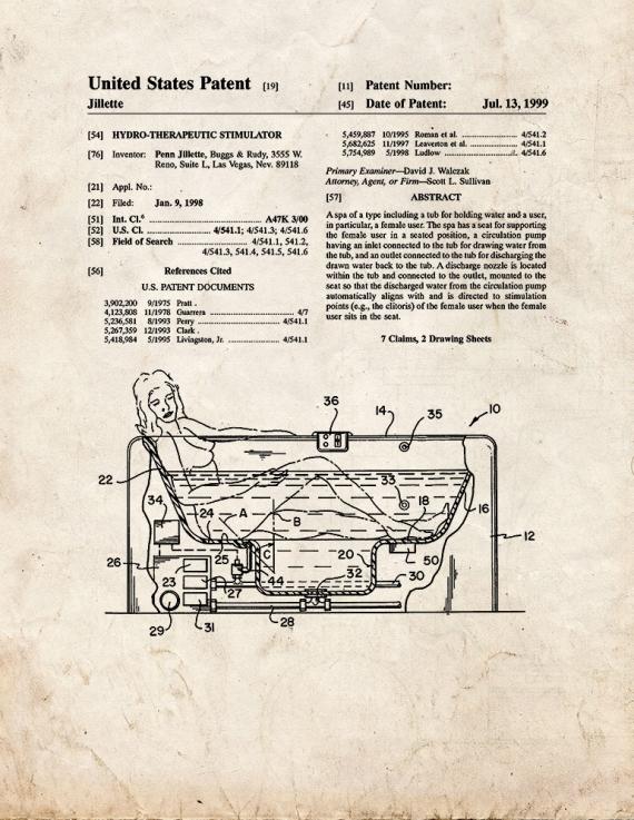 Hydro-therapeutic Stimulator Patent Print