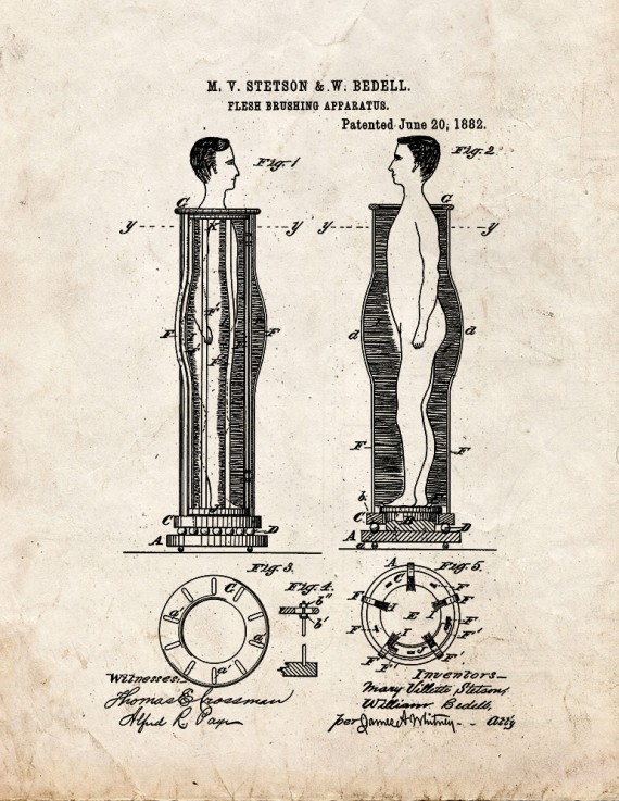 Flesh Brushing Apparatus Patent Print