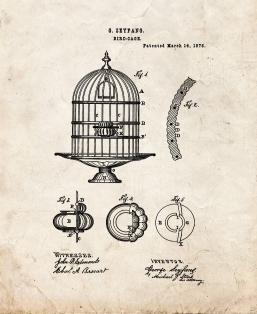 Bird Cage