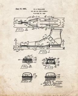 Ski And Ski Shoe Assembly