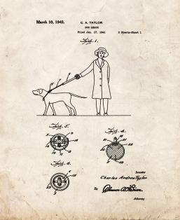 Dog Leash