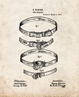 Dog Collar