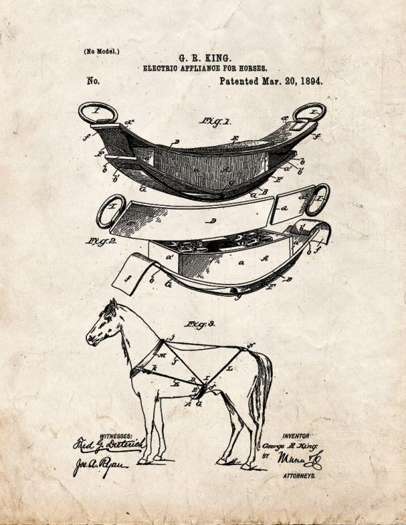 Electric Appliance For Horses Patent Print