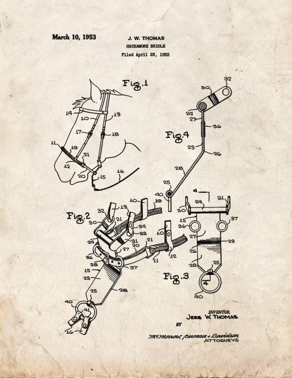 Horse Hackamore Bridle Patent Print