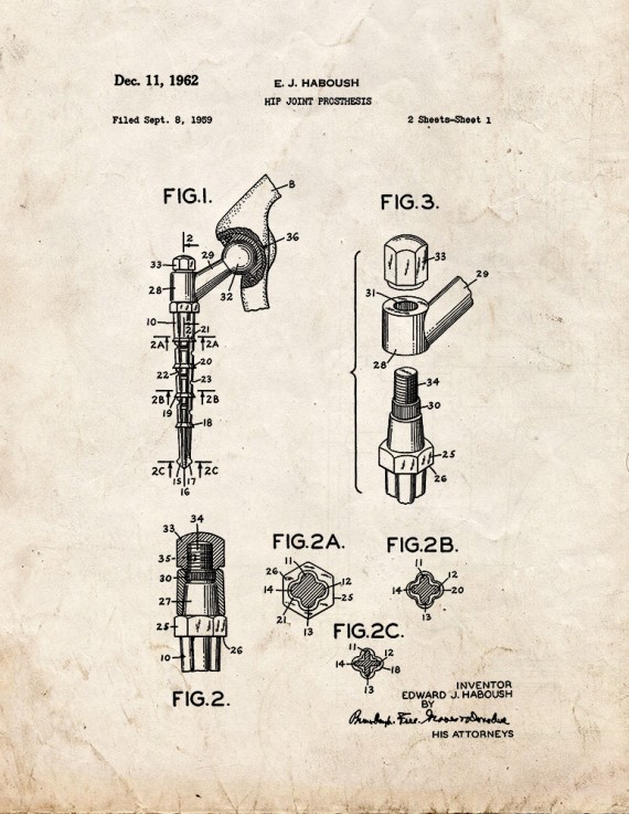 Hip Joint Prosthesis Patent Print