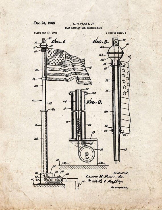 Flag Display and Housing Pole Patent Print