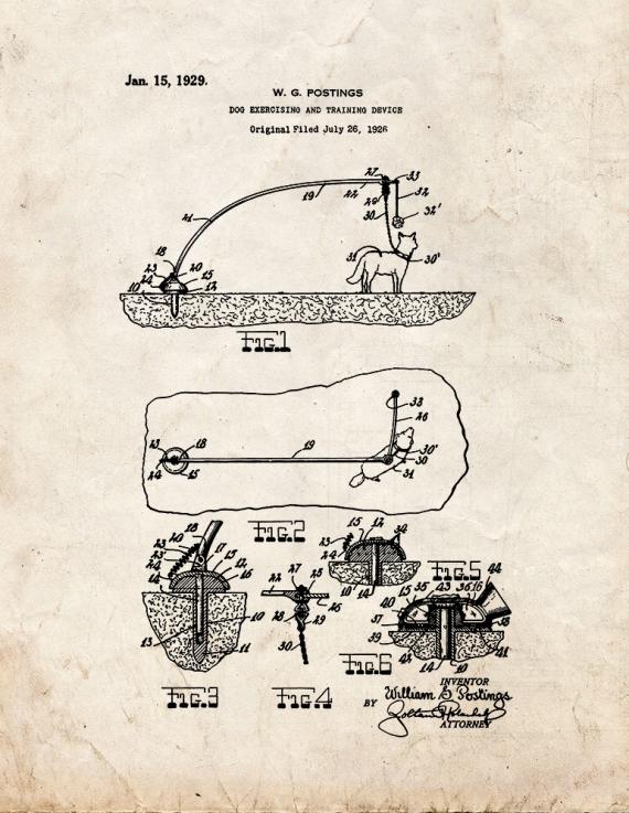 Dog Exercising and Training Device Patent Print