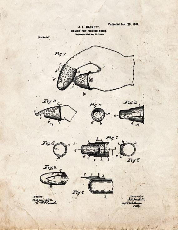 Device for Picking Fruit Patent Print