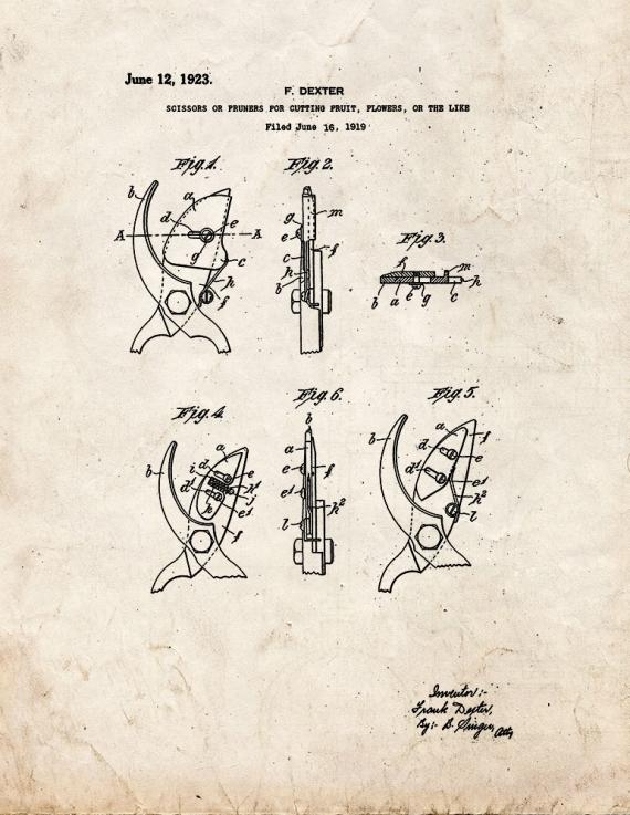 Scissors or Pruners for Cutting Fruit amd Flowers Patent Print