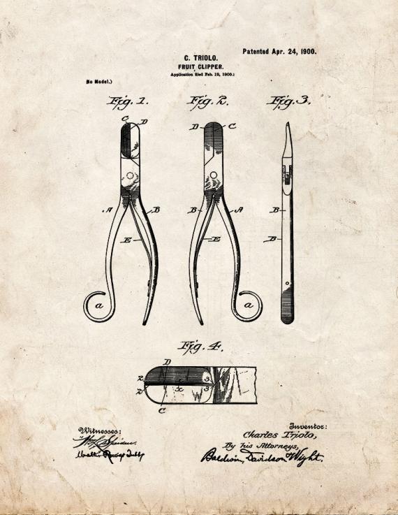 Fruit Clipper Patent Print