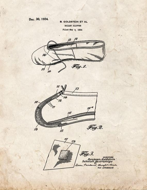 Ballet Slipper Patent Print