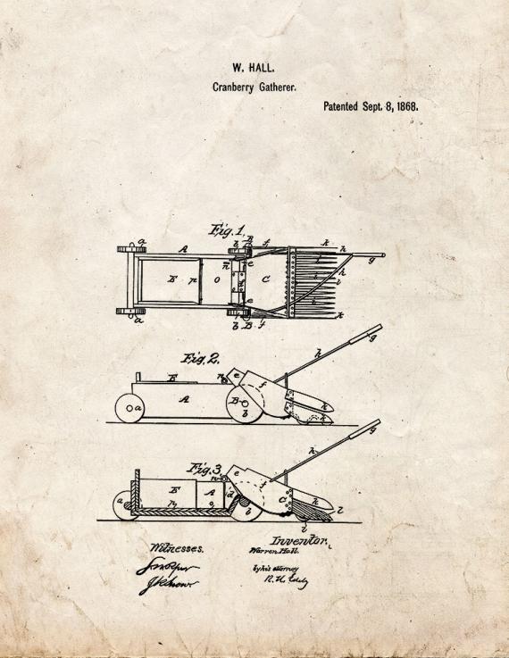 Cranberry Gatherer Patent Print