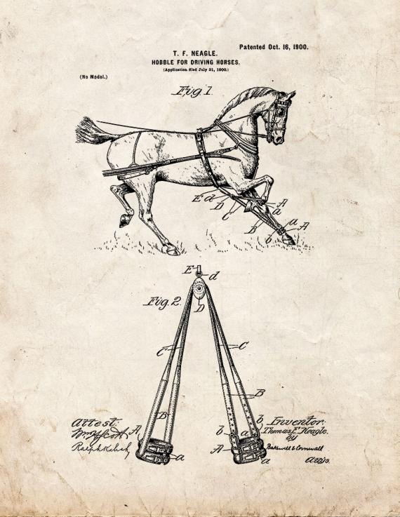 Hobble For Driving-horses Patent Print