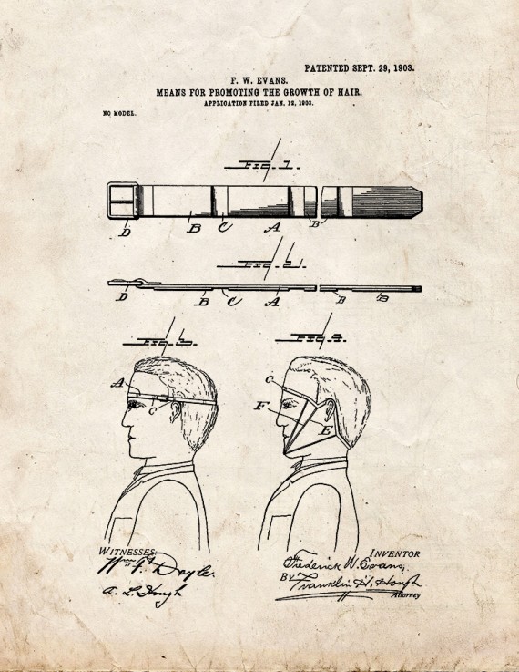 Means For Promoting The Growth Of Hair Patent Print